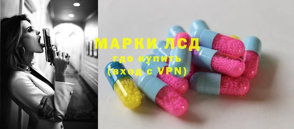 шишки Гусиноозёрск