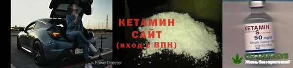 шишки Гусиноозёрск