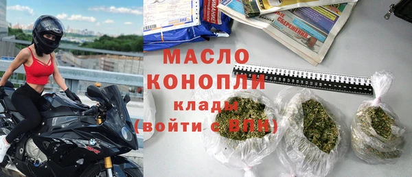 шишки Гусиноозёрск