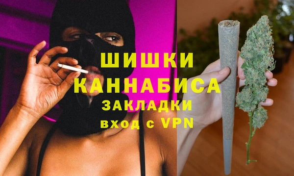 спайс Ельня
