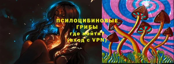 соль курить ск Дмитриев