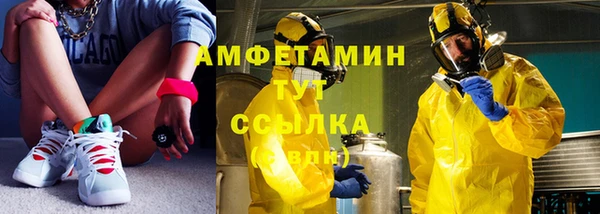 прущие грибы Елабуга