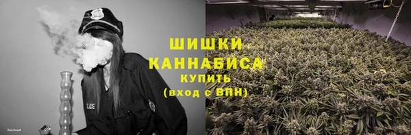 гидра Дмитровск